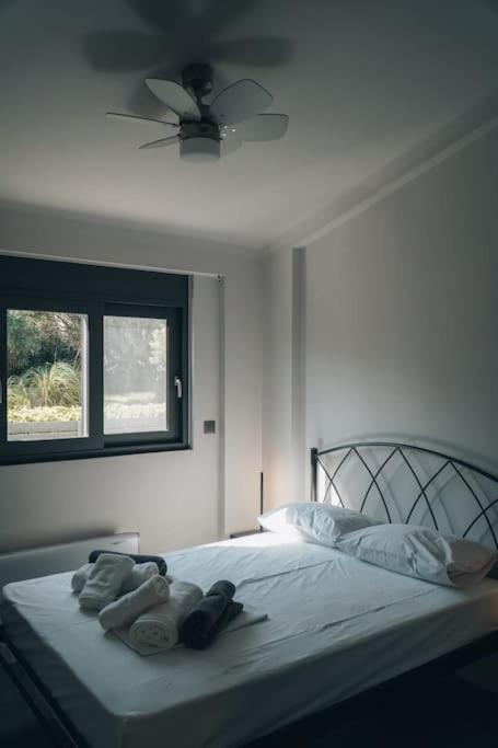 Rio Deluxe Villa 외부 사진